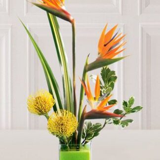 Tropical Bright Arrangement