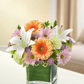 Healing Tears - Multicolor Pastel