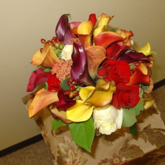 Mix color mini calla
