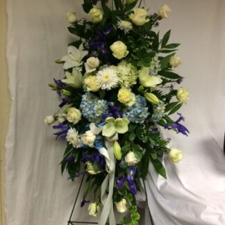 Blue and White Standing