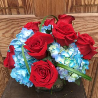 Pi Beta Phi Exquiste