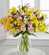 Breath Taking Beauty