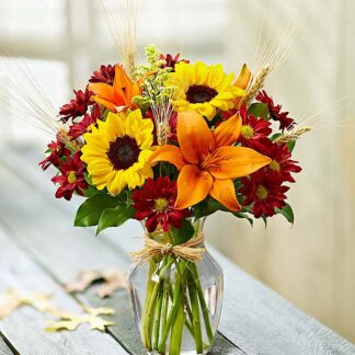 Fields of Europe for Fall