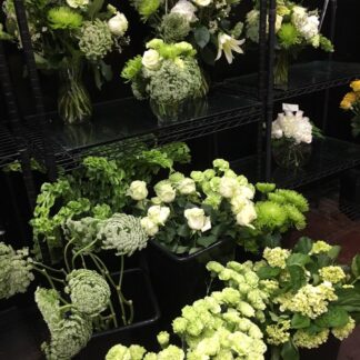 Greeen and White flowers