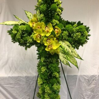 CROSS GREEN HYDRANGEA