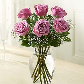 Love's Embrace Roses Purple