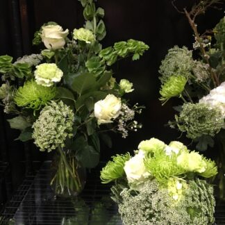 St Patricks Party Colletion