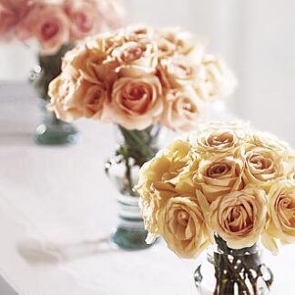 Bridesmaid's Garden Arrangement