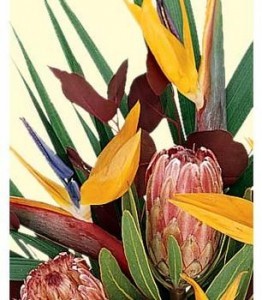 Tropical Flower Design