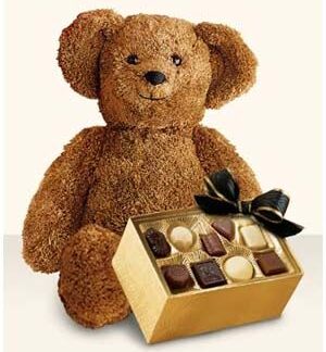Bear with Chocolates