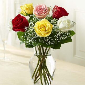 Love's Embrace™ Roses - Assorted