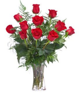 Red Roses Vased