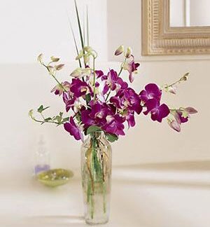 Pacific Paradise Arrangement