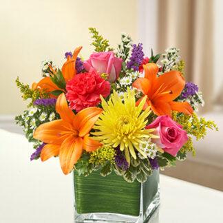 Healing Tears - Multicolor Bright