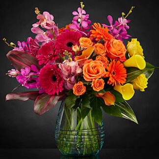 Beyond Brilliant colors Luxury