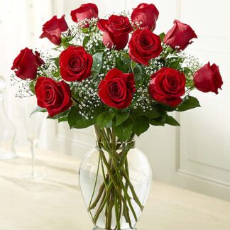 Red Rose Elegance Premium Long Stem Red Roses