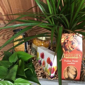 Basket of chocolates and plants