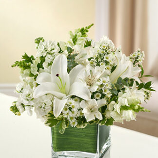 Healing Tears - All White