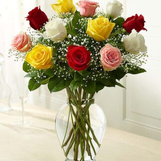Rose Elegance Assorted Premium Long Stem Assorted Roses