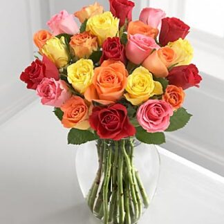 Colorful mixed roses