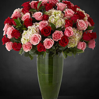 Indulgent Luxury Rose Bouquet - 48 Stems of 24-inch Premium Long
